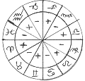 Beginners Astrology